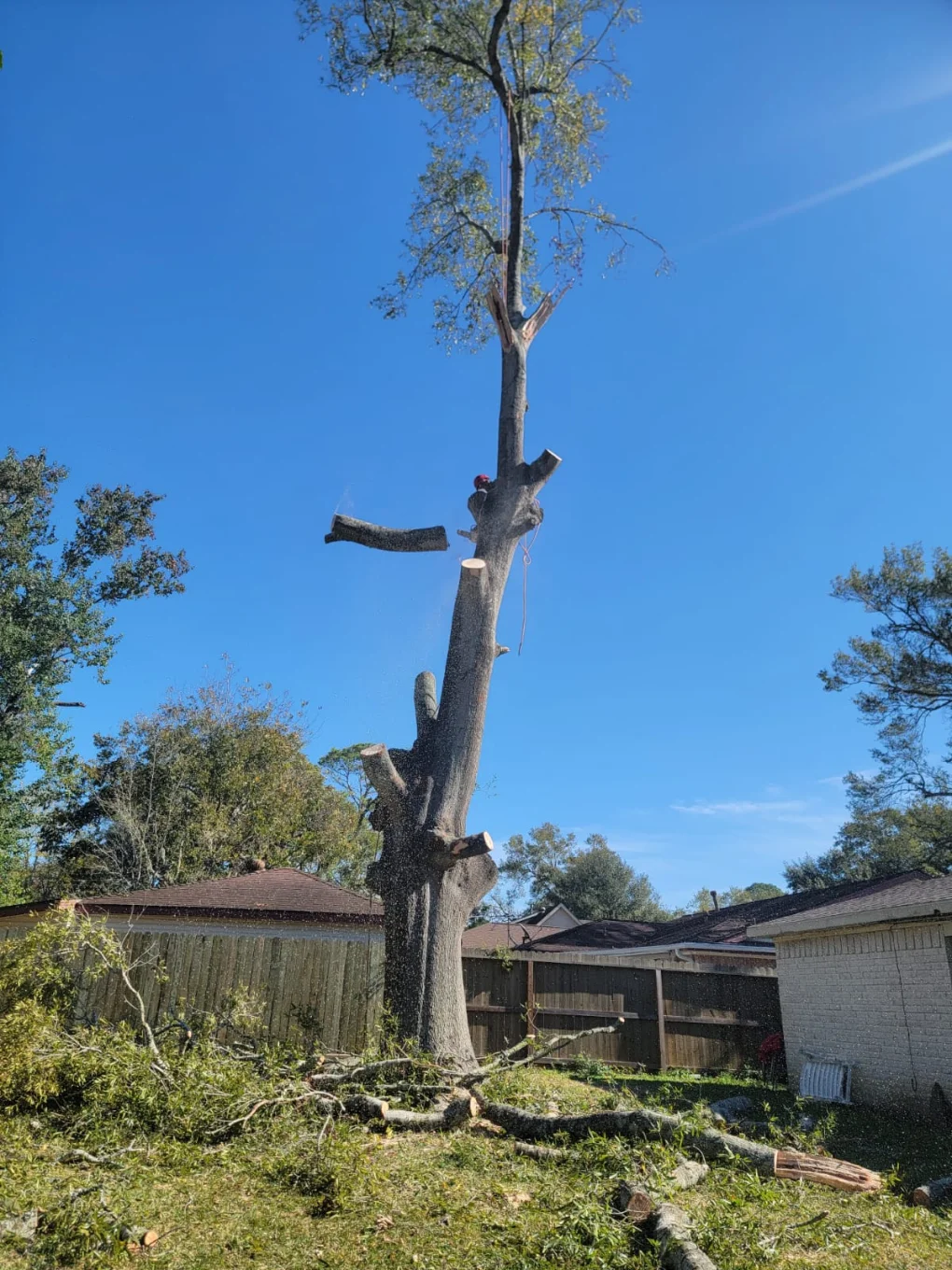 Granding,general tree,stump grinding ,wood fencing in Dickinson TX